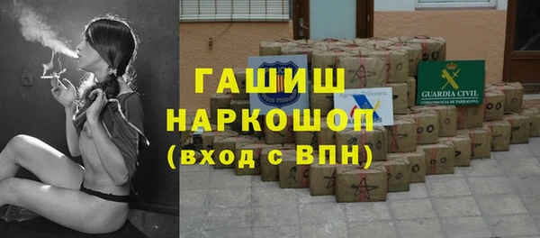 индика Алзамай
