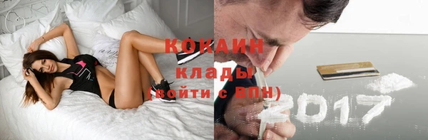 индика Алзамай