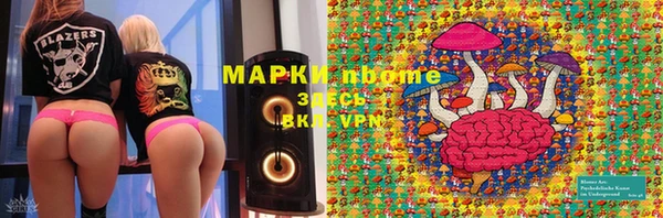 индика Алзамай