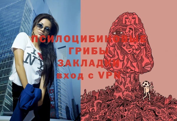 метадон Алексеевка