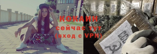 индика Алзамай
