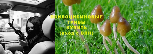 прущие грибы Алексин