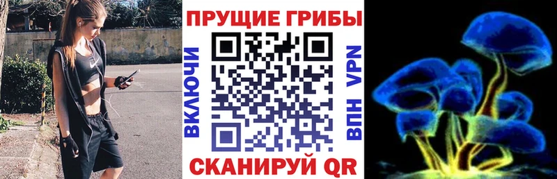 KRAKEN как войти  Бодайбо  Галлюциногенные грибы ЛСД 